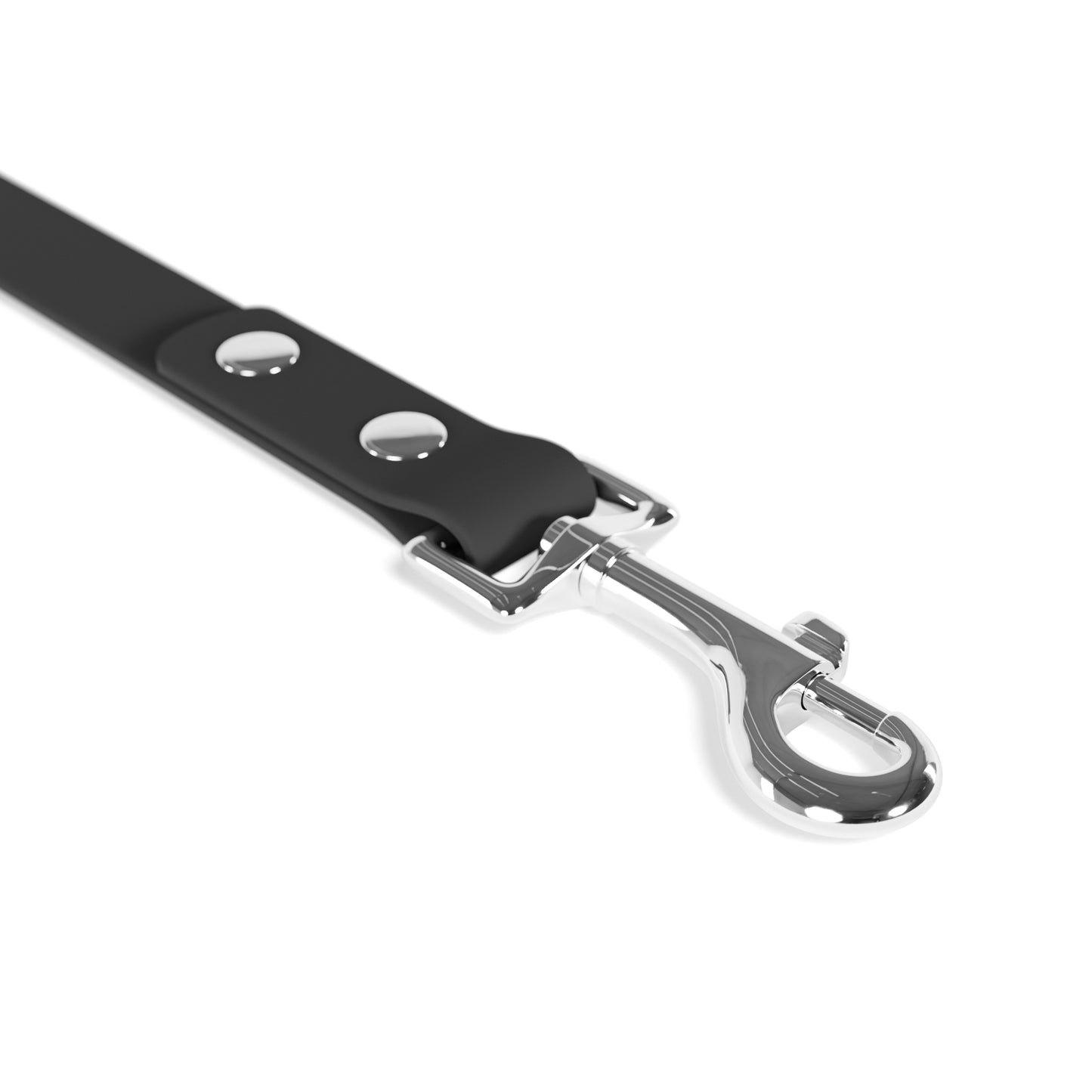 The Rainbow Flag Dog Leash that "sashays" with Gay Pride