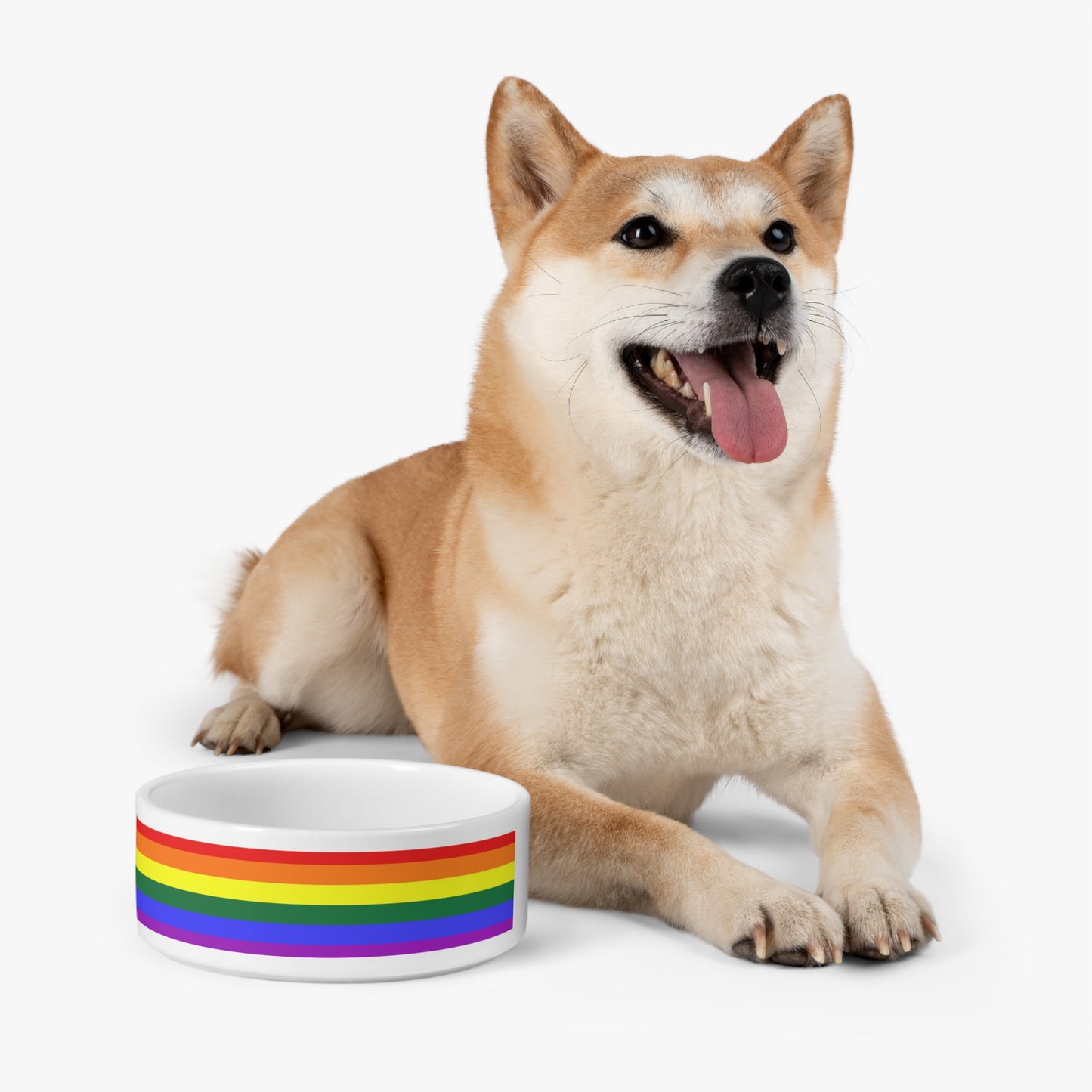 Rainbow Flag Pet Bowl - All pets deserve love and only the best!!!