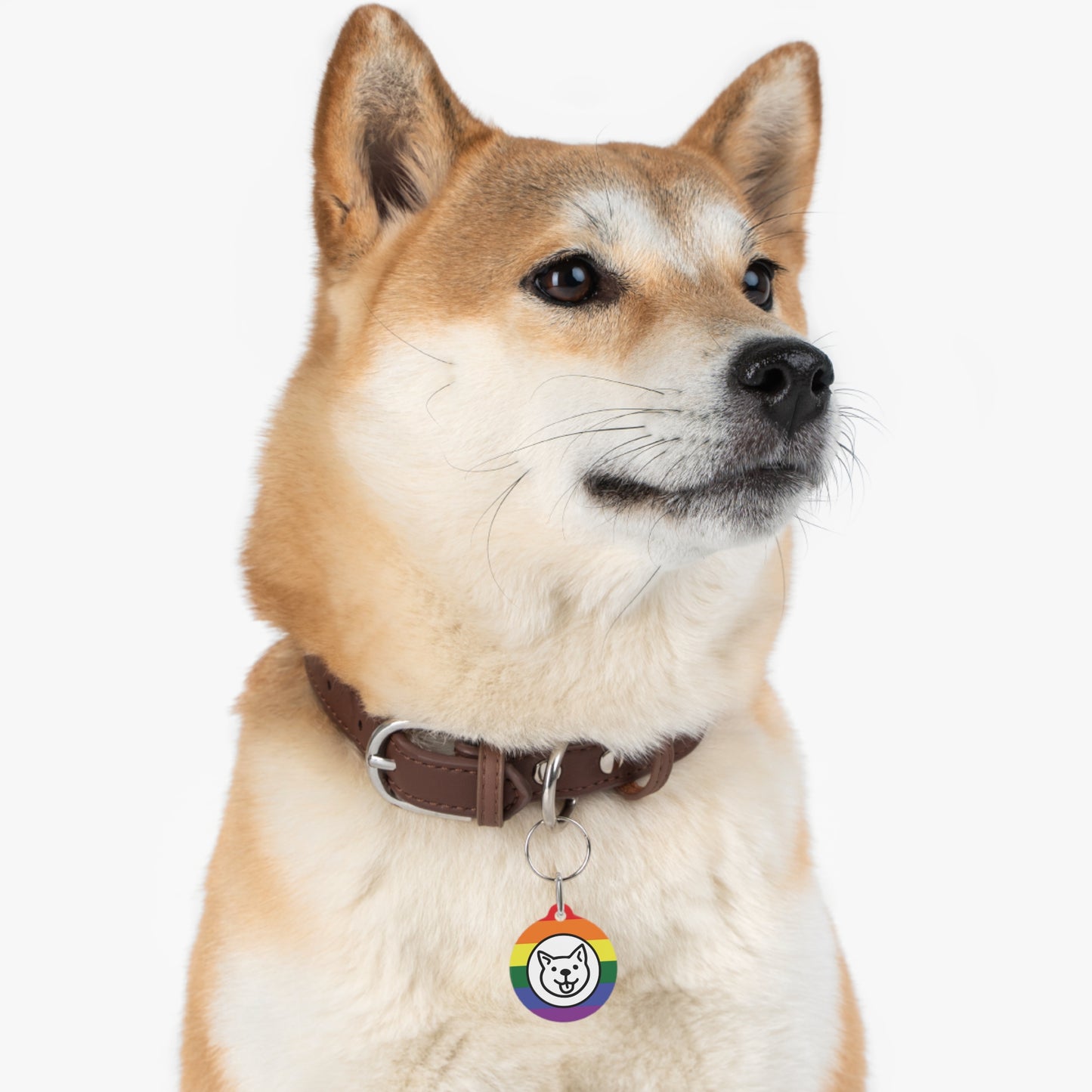 Rainbow Doggie Pet Tag - "WE LOVE OUR DOGS"