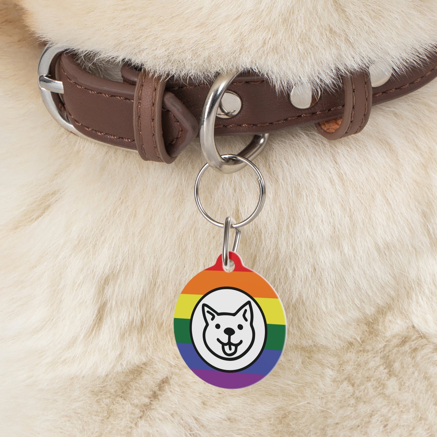 Rainbow Doggie Pet Tag - "WE LOVE OUR DOGS"