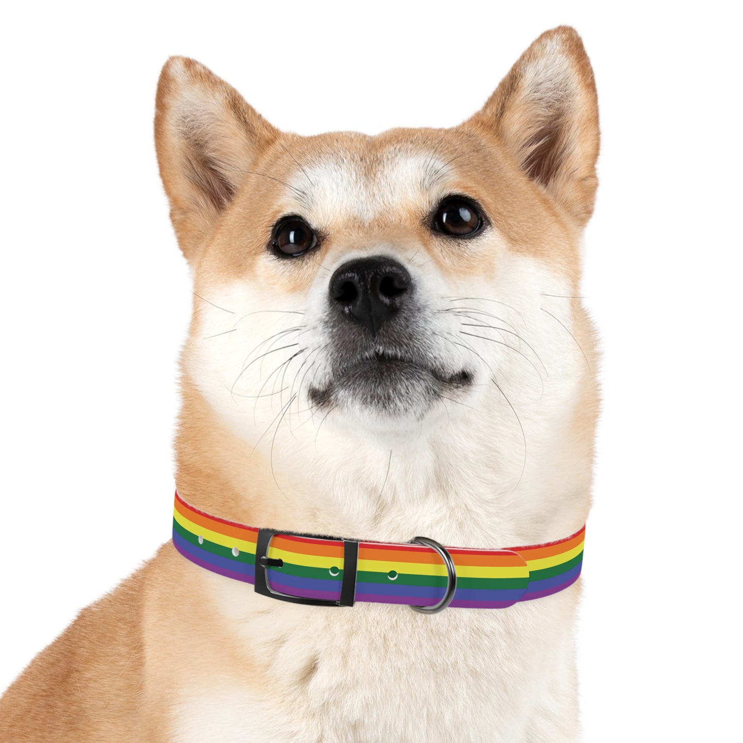 Rainbow Flag Dog Collar