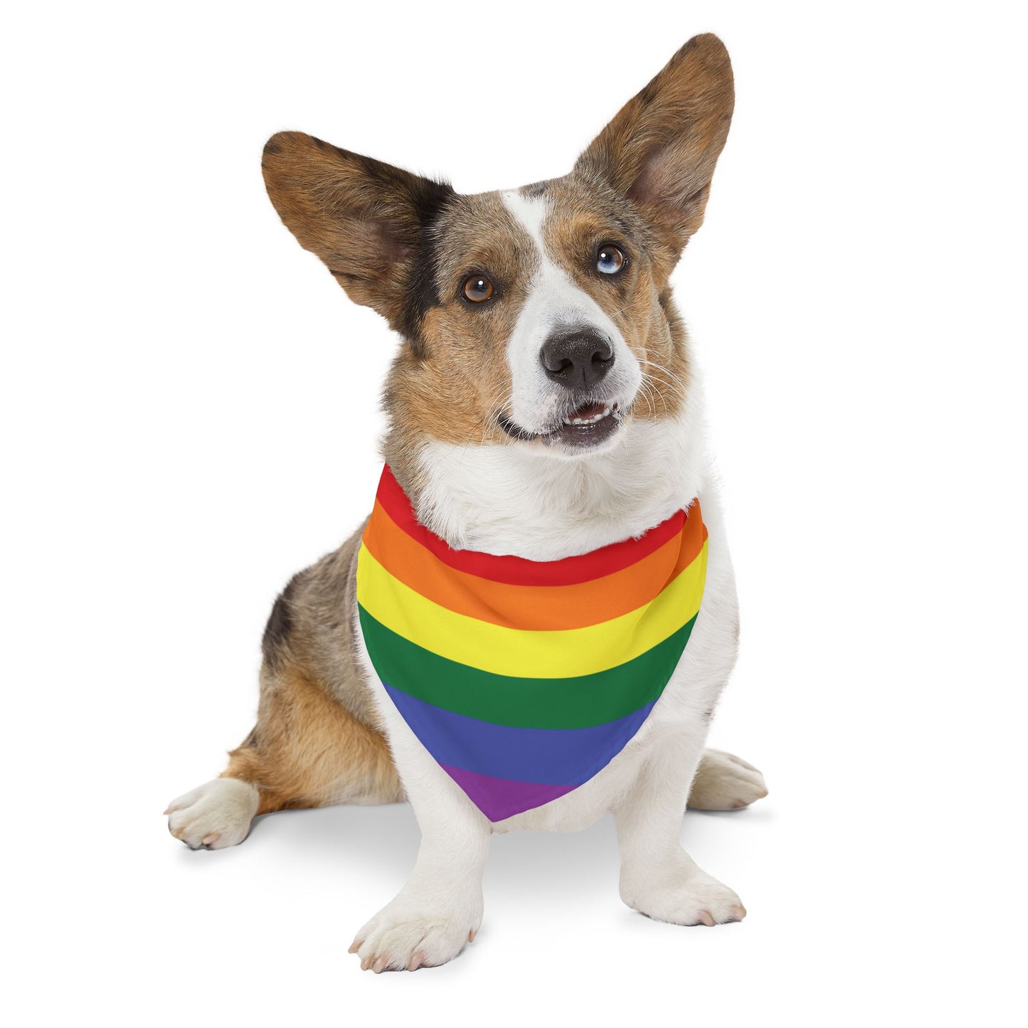 Rainbow Flag Bandana Pet Collar for all dogs who are "loud and proud!!!"