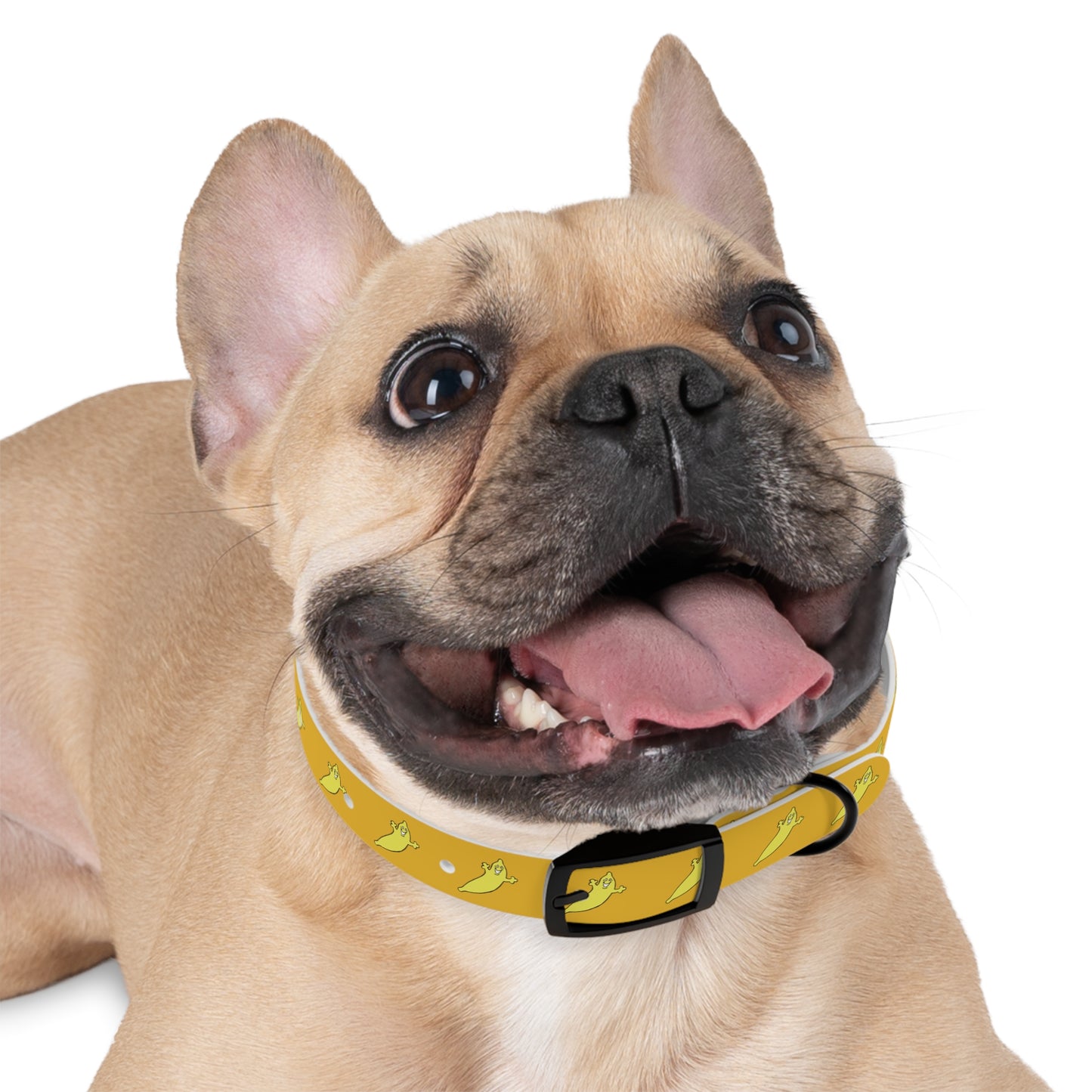 The Dumb Banana Dog Collar - The banana of all dog collars!!!