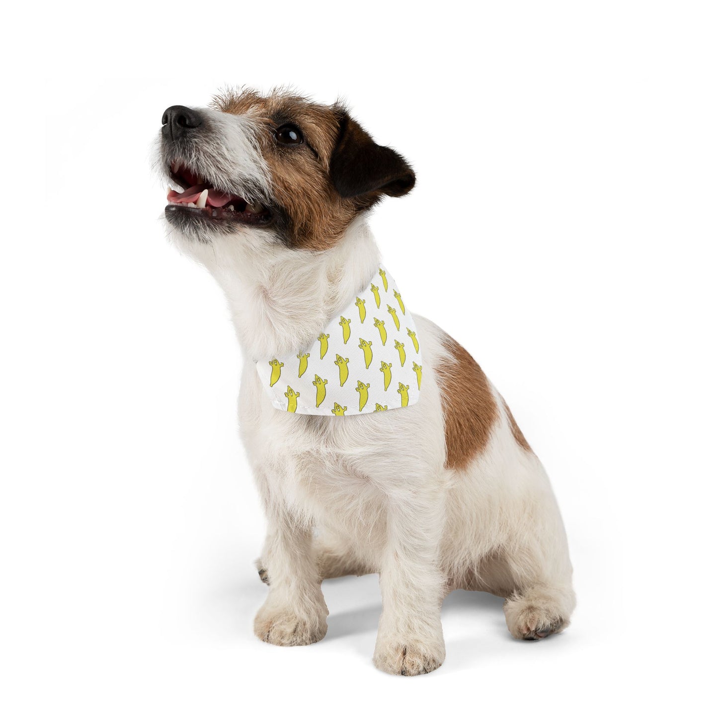 The Dumb Banana's "BANANA" Bandana Pet Collar for small dogs - A banana is a banana is a banana!!!