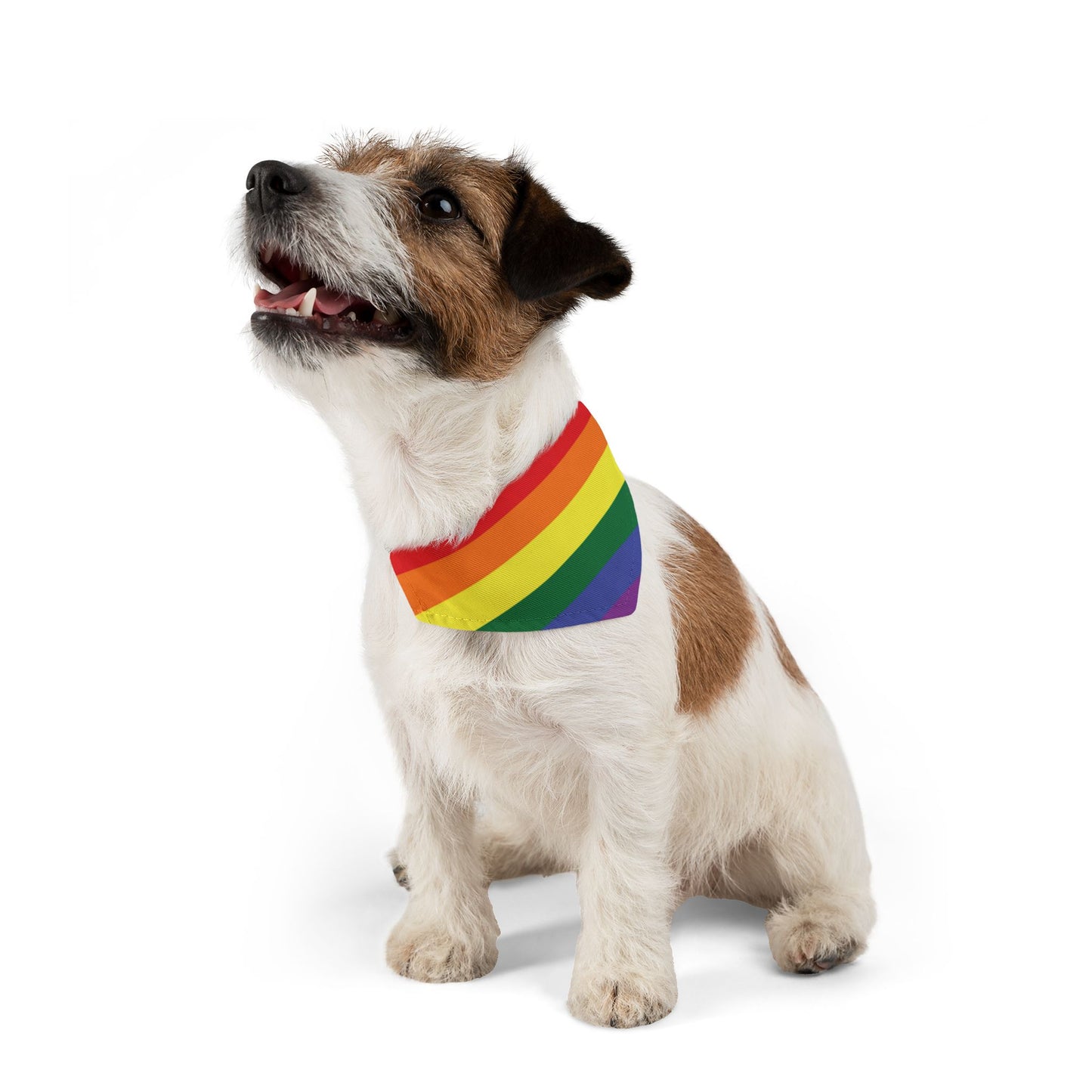 Rainbow Flag Bandana Pet Collar for all dogs who are "loud and proud!!!"