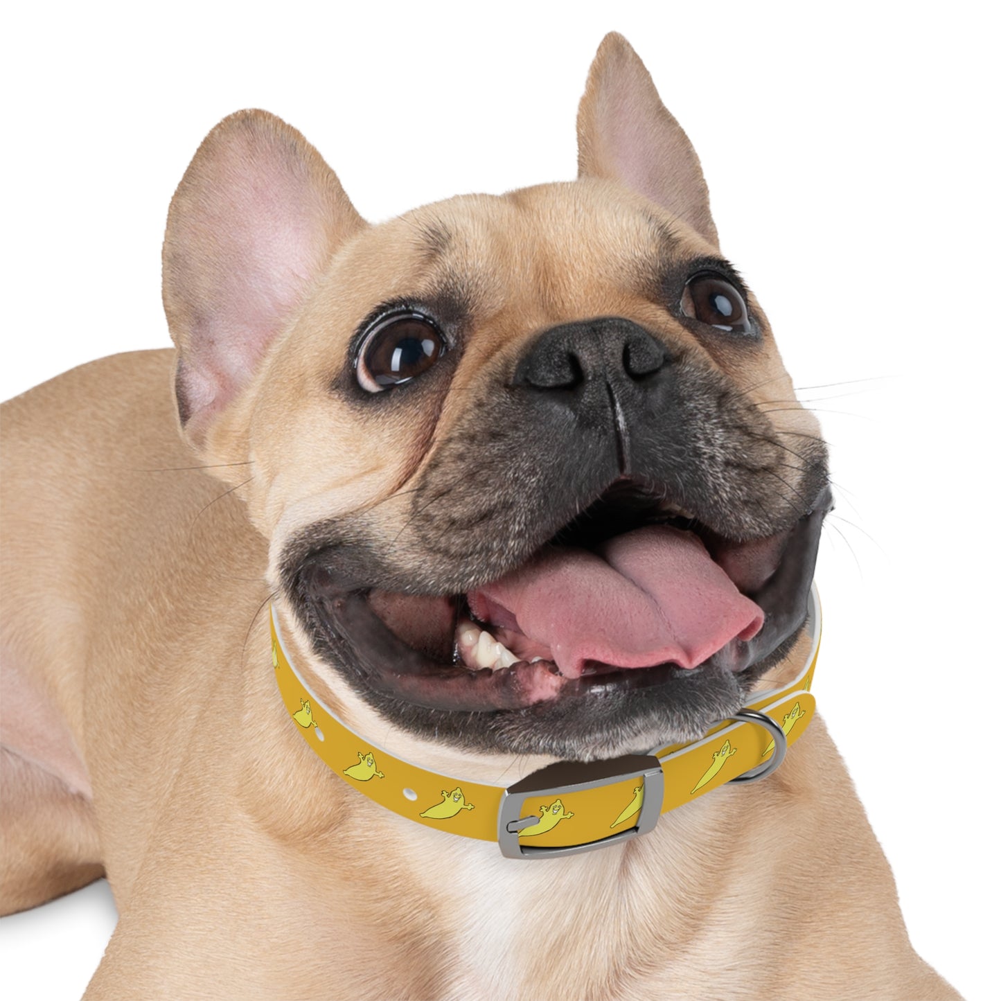 The Dumb Banana Dog Collar - The banana of all dog collars!!!