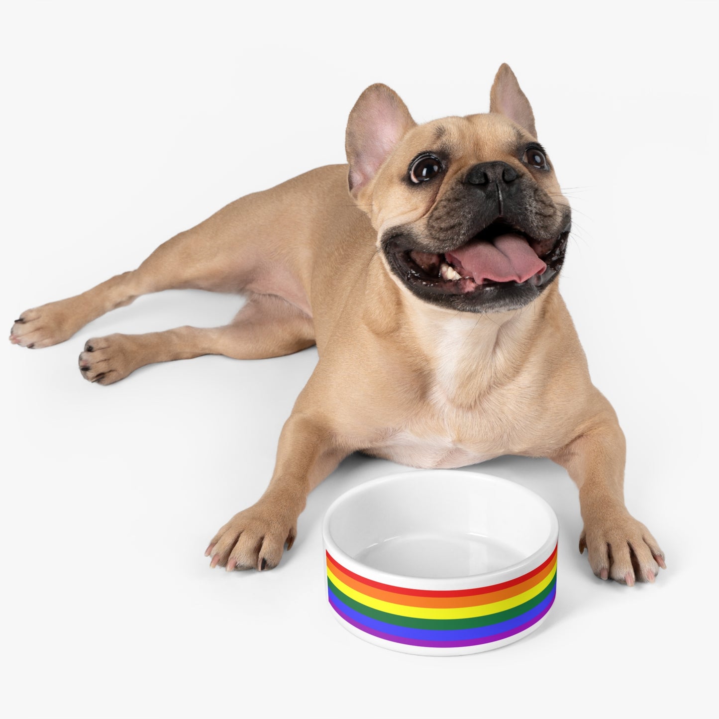 Rainbow Flag Pet Bowl - All pets deserve love and only the best!!!
