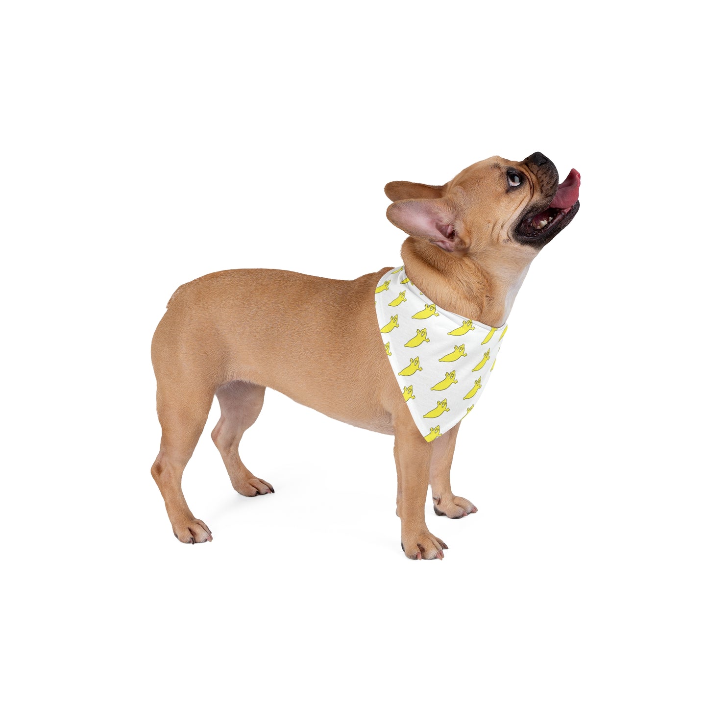 The Dumb Banana Pet Bandana in 2 sizes - It's so cool!!!