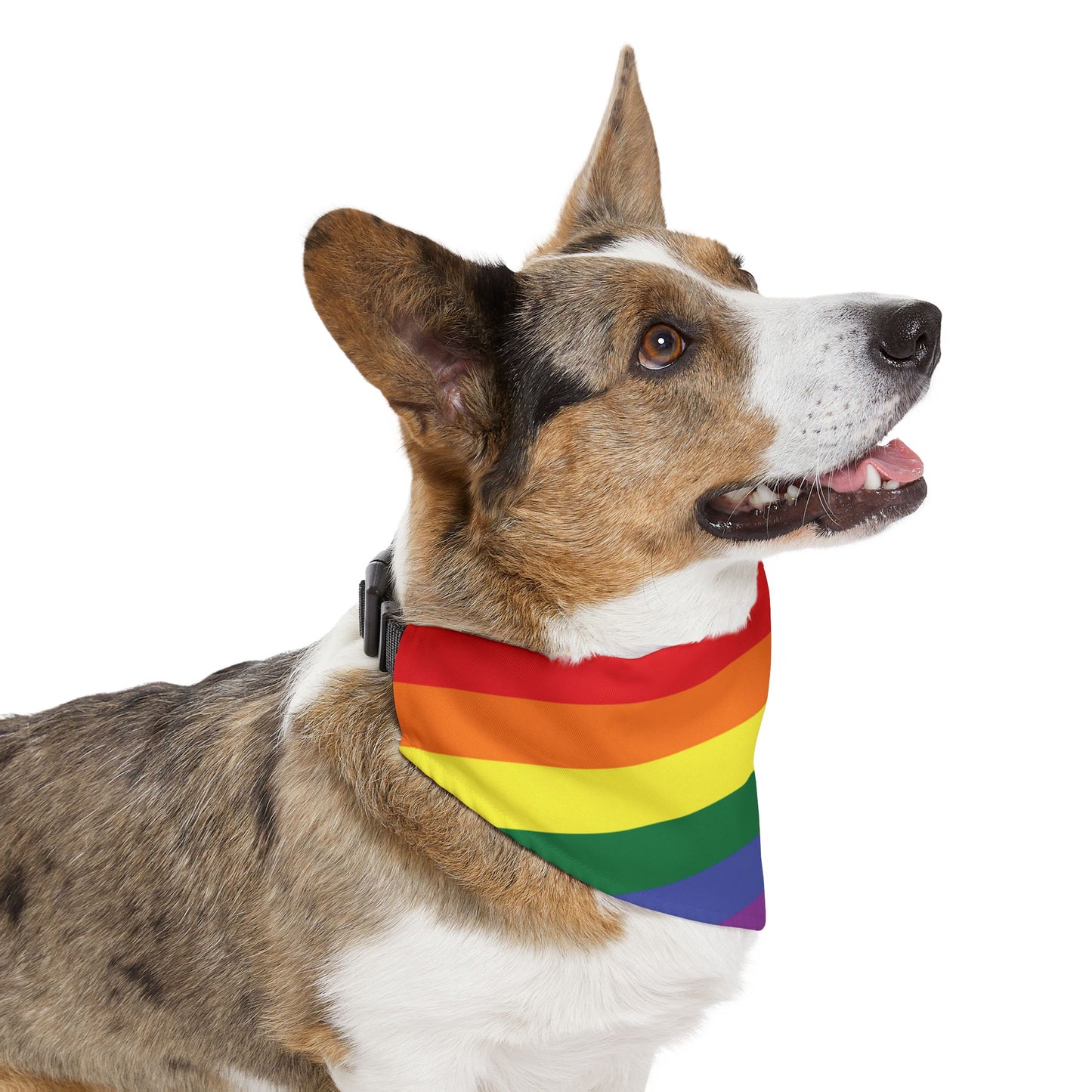 Rainbow Flag Bandana Pet Collar for all dogs who are "loud and proud!!!"