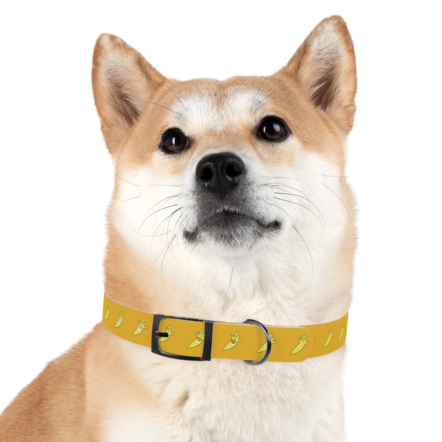 The Dumb Banana Dog Collar - The banana of all dog collars!!!