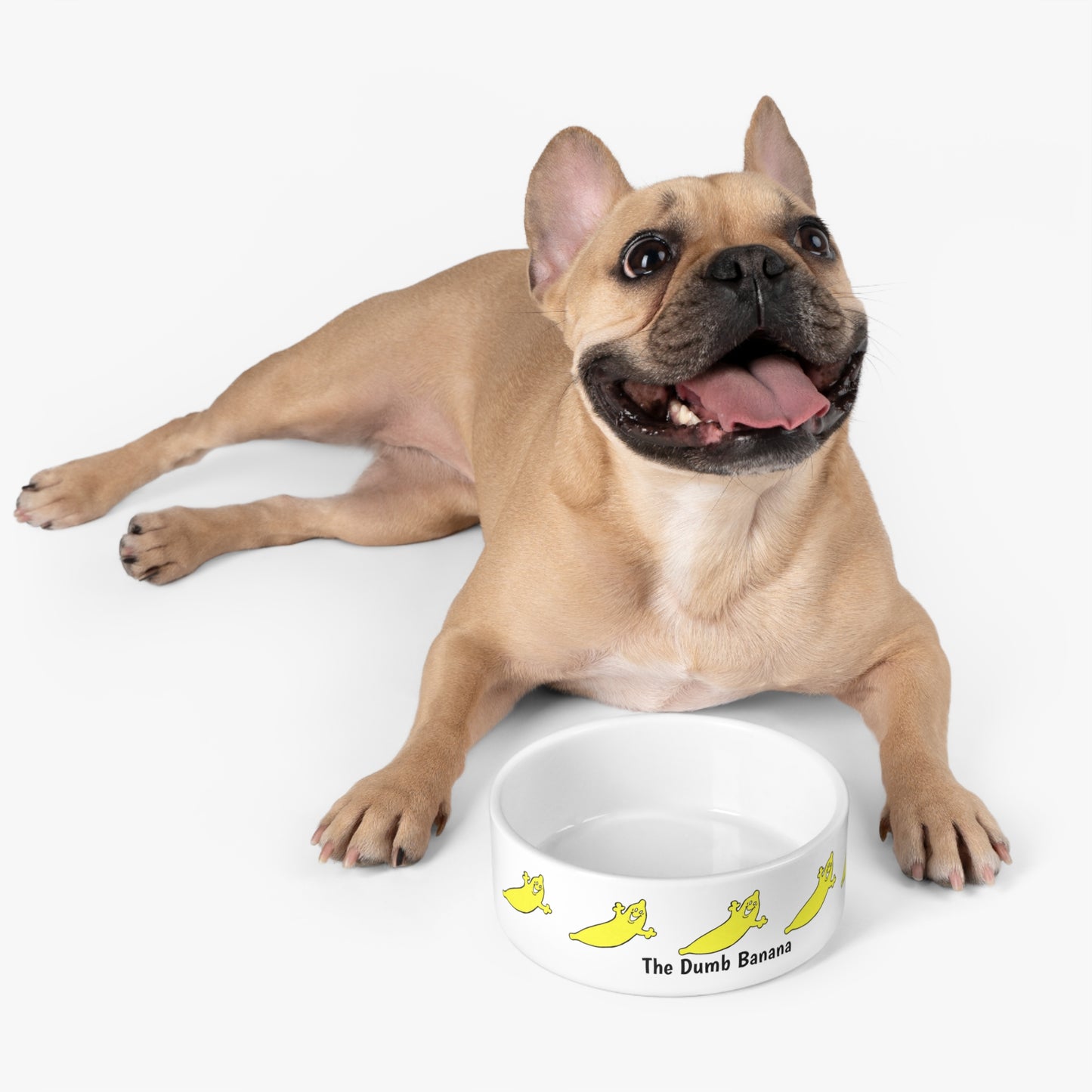 The Dumb Banana Pet Bowl - All pets deserve love and only the best!!!